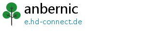 anbernic